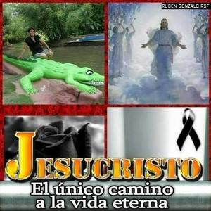 Meet your Posher, Janette